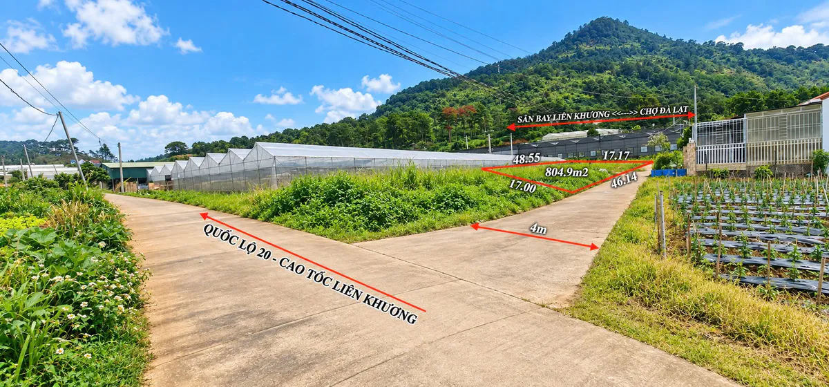 Bán Đất 804,9m² Sổ Hồng Riêng, Tại Làng Con Gà, Hiệp Thạnh – Đức Trọng, View Núi Voi - Gần Quốc Lộ 20