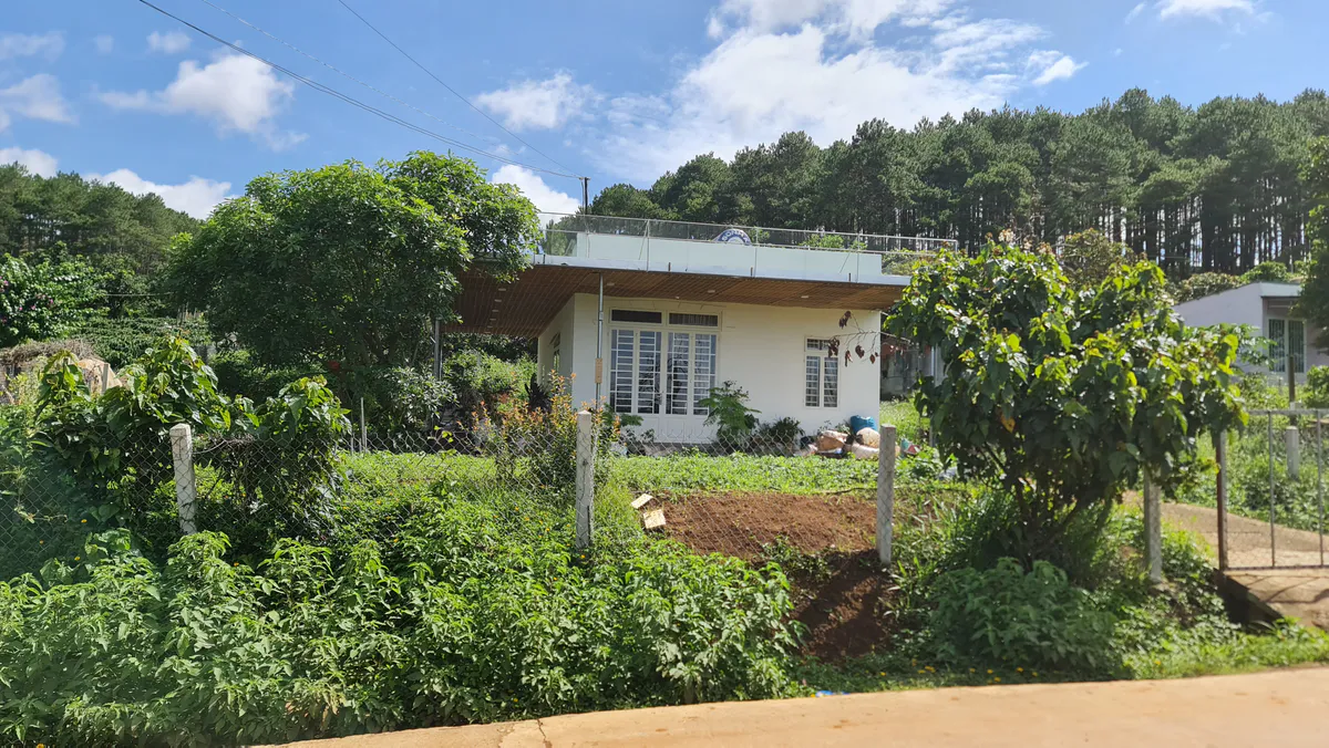 Bán Đất Có Nhà Cấp 4 Mặt Tiền Đường Xe Hơi| 338m² Sổ Hồng Riêng| Ngay Mê Linh - Nam Ban| Giá Chỉ 2tỷ