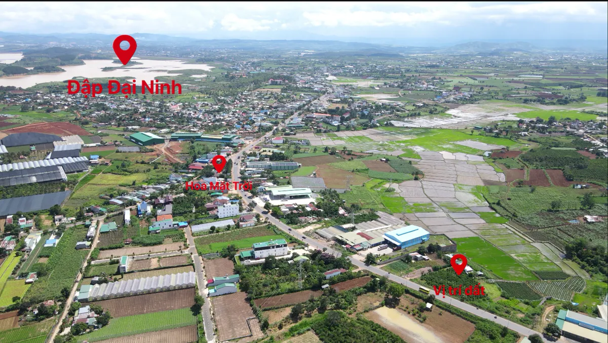 Đất Mặt Tiền QL20 Phú Hội – Đức Trọng| Hơn 1.276m², Mặt Tiền Rộng 52m