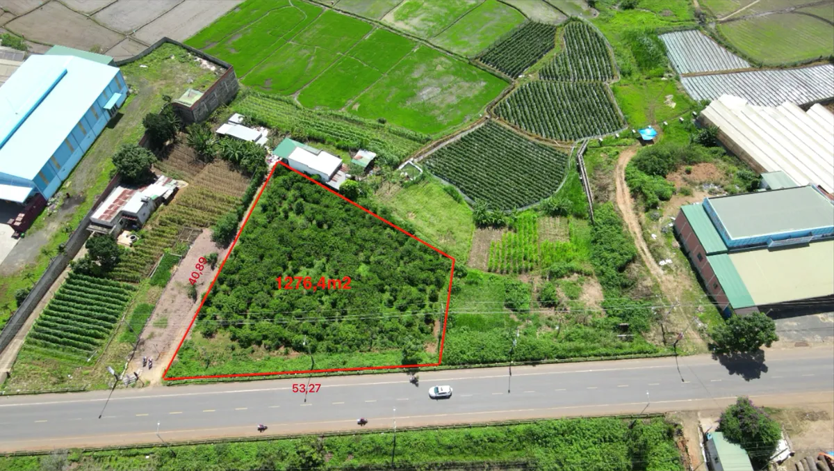 Đất Mặt Tiền QL20 Phú Hội – Đức Trọng| Hơn 1.276m², Mặt Tiền Rộng 52m