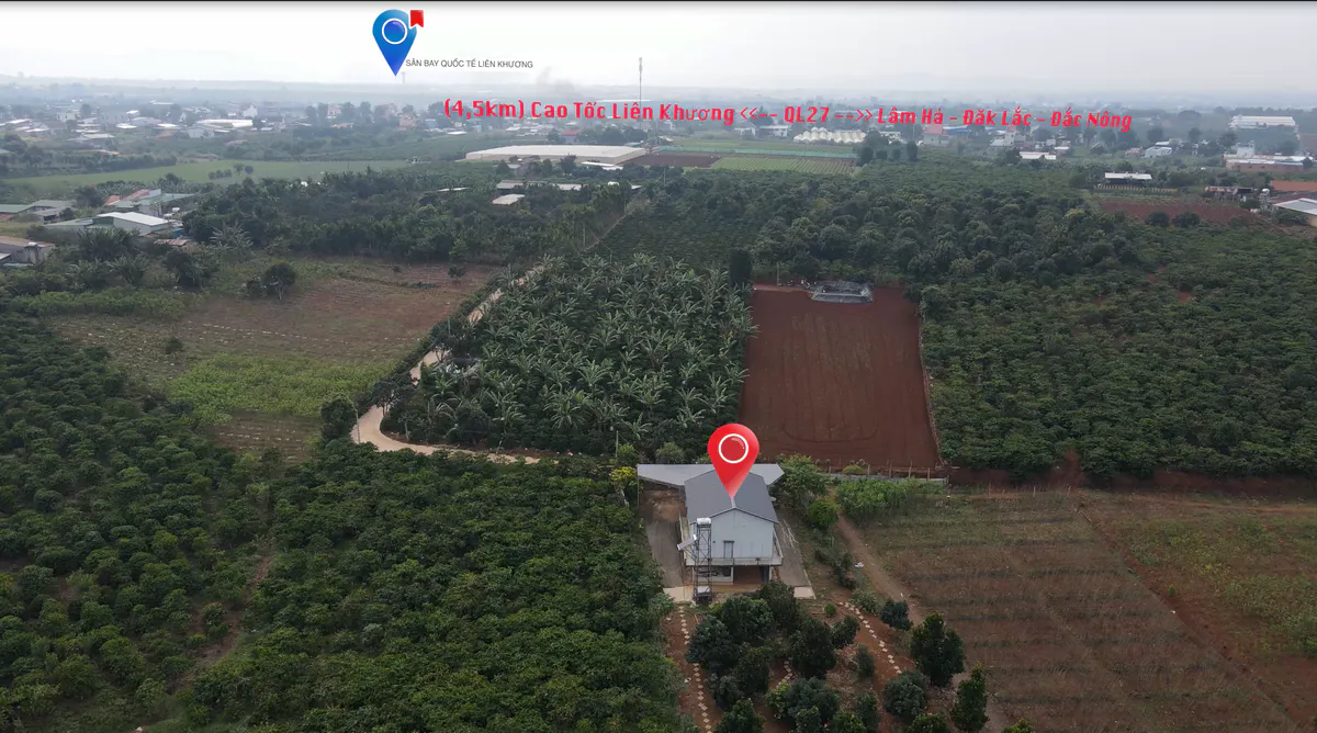 Bán Nhà Vườn 1.667m²| 3 Ngủ Đầy Đủ Công Năng| Vườn Cây Ăn Trái| Gần Sân Bay Quốc Tế Ngay Liên Hiệp - Đức Trọng