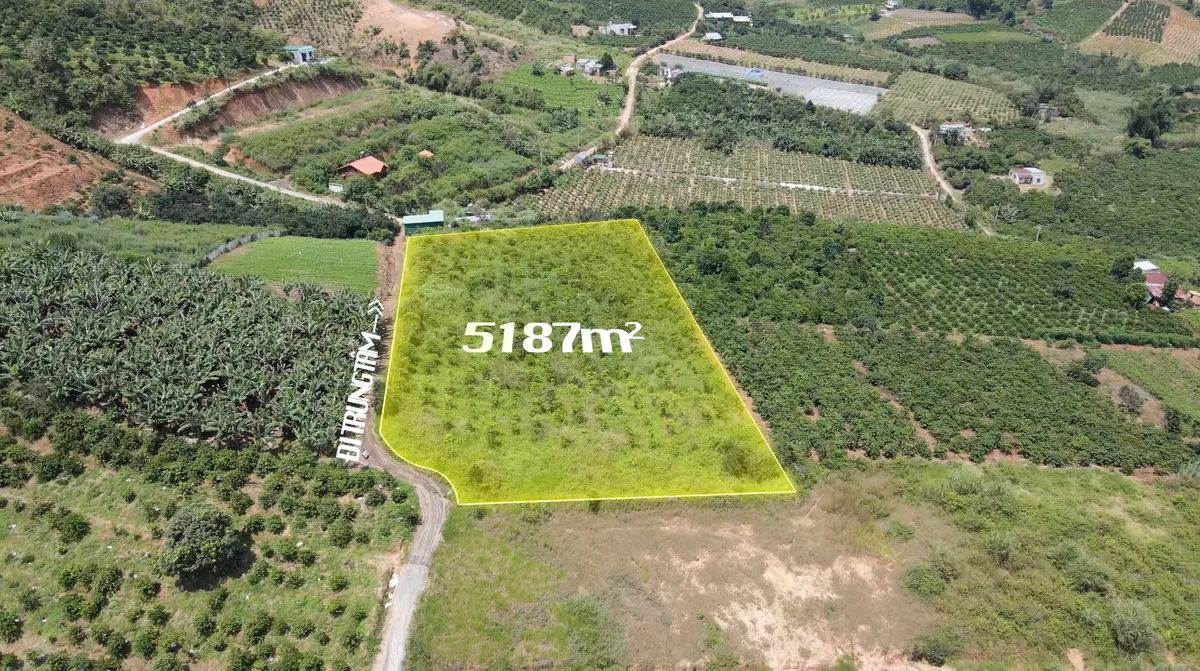 Bán Đất Rộng 5.187m² Mặt Tiền 101m| Sổ Hồng Riêng| View Thoáng Các Hướng| Nam Hà – Lâm Hà| Giá Chỉ 800 Triệu/1.000m²