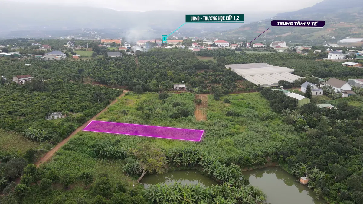 Bán Đất 670m² Đông Thanh| Sổ Hồng Riêng| Đã Có 200m² Thổ Cư| Ngay Đông Thanh - Nam Ban| Giá chỉ 1 tỷ 650