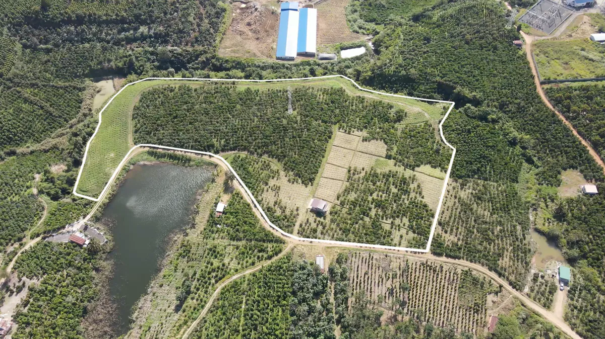 Bán Đất vườn Rộng 4,46ha | Có Sẵn Cà Phê, Nhà Ở, Giáp Suối| Đường Xe Hơi Thuận Tiên Ngay Ninh Gia - Đức Trọng