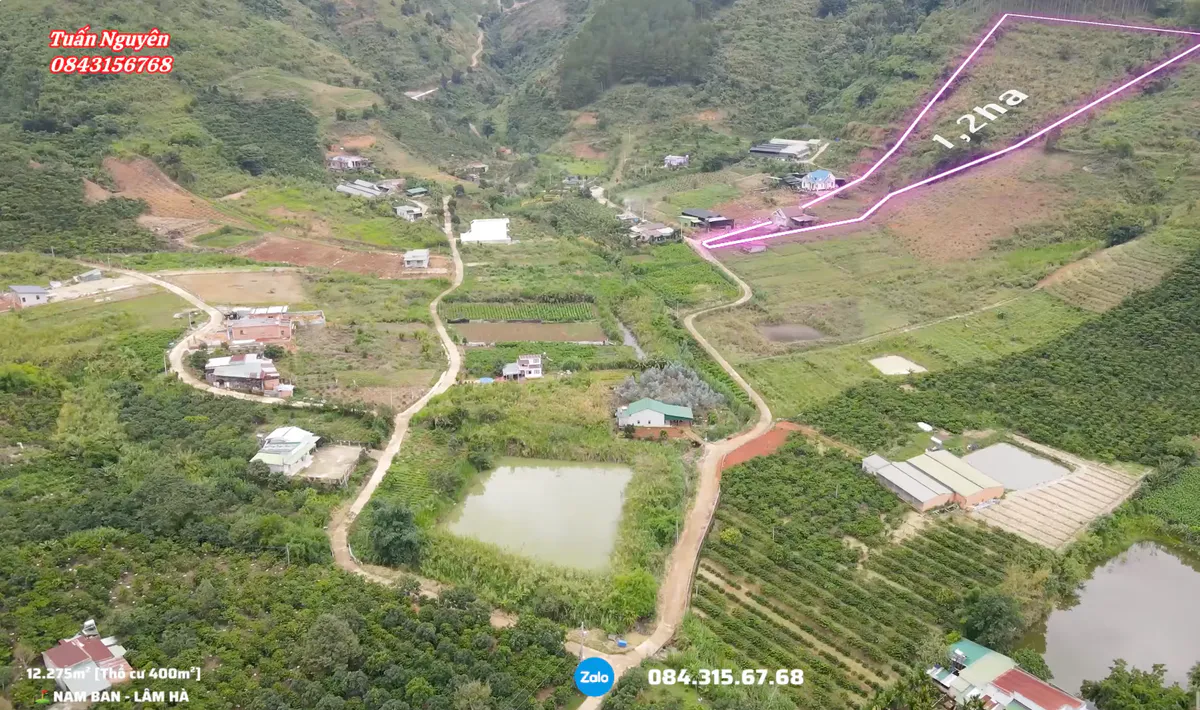 Bán 1,2ha Có 400m² Thổ Cư và Căn Nhà Mái Thái Để Nghỉ Dưỡng| Ngay Nam Ban - Lâm Hà| Giá chỉ 6,5tỷ