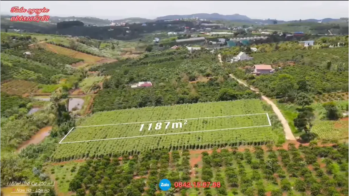 Bán Thửa Đất 1.187m² Mang Nhiều Giá Trị Nghỉ Dưỡng| Có Thổ Cư 250m²| Sổ Hồng Riêng Cạnh Khu Biệt Thự Nam Hà - Lâm Hà| Giá Cực Kỳ Phù Hợp