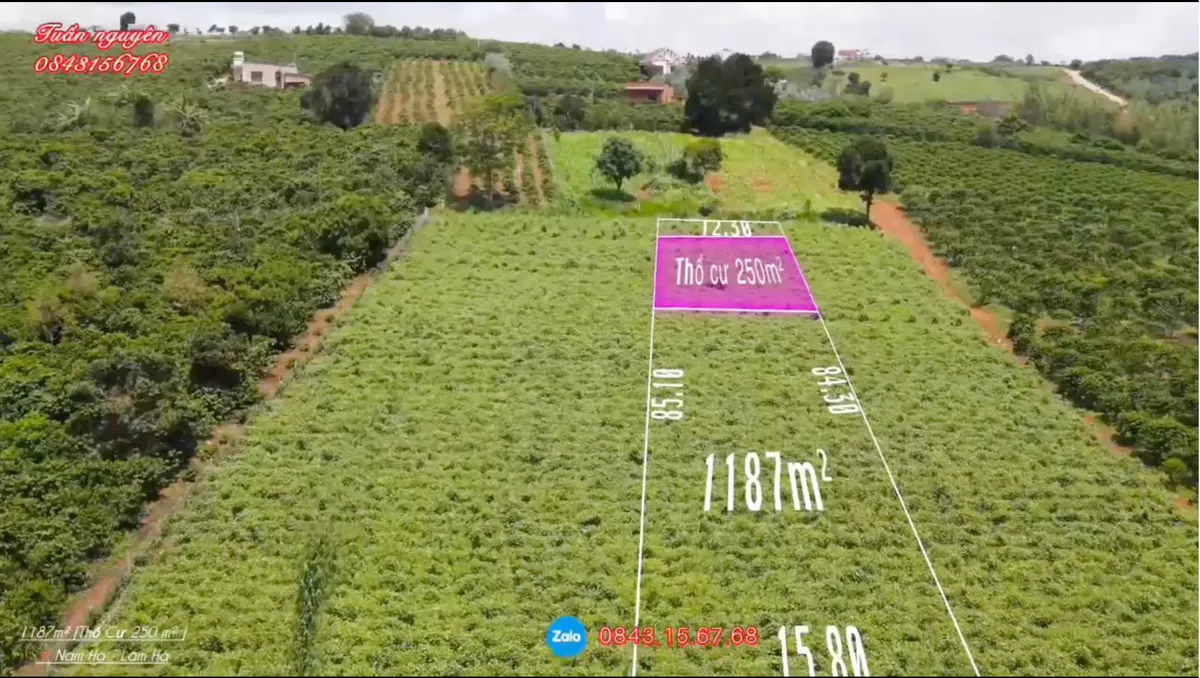Bán Thửa Đất 1.187m² Mang Nhiều Giá Trị Nghỉ Dưỡng| Có Thổ Cư 250m²| Sổ Hồng Riêng Cạnh Khu Biệt Thự Nam Hà - Lâm Hà| Giá Cực Kỳ Phù Hợp