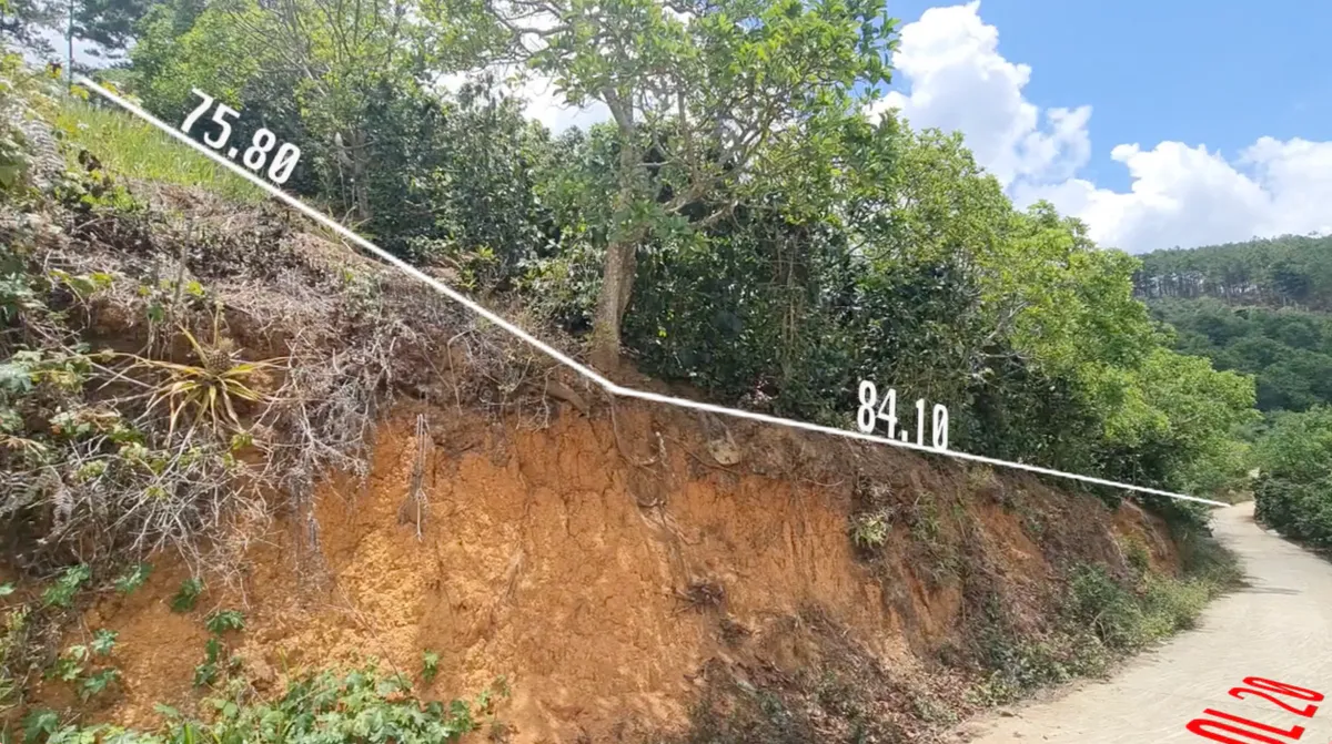 Bán Đất Rộng 4.176m² Sổ Hồng Riêng| Ngay Khu Đồi Chè Cầu Đất| Xuân Trường - Đà Lạt