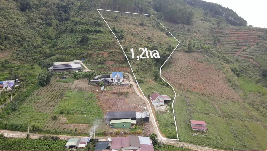 Bán 1,2ha Có 400m² Thổ Cư và Căn Nhà Mái Thái Để Nghỉ Dưỡng| Ngay Nam Ban - Lâm Hà| Giá chỉ 6,5tỷ