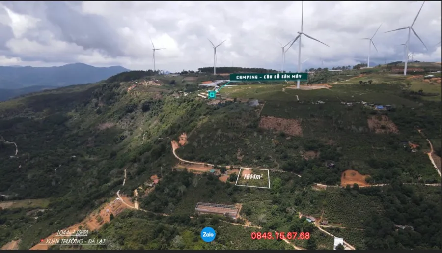 Bán 1.044m² Đất View Đồi Thông| Sổ Hồng Riêng Ở Khu Đồi Chè Cầu Đất – Đà Lạt | Giá 2 tỷ