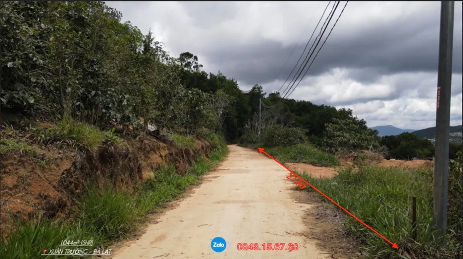 Bán 1.044m² Đất View Đồi Thông| Sổ Hồng Riêng Ở Khu Đồi Chè Cầu Đất – Đà Lạt | Giá 2 tỷ