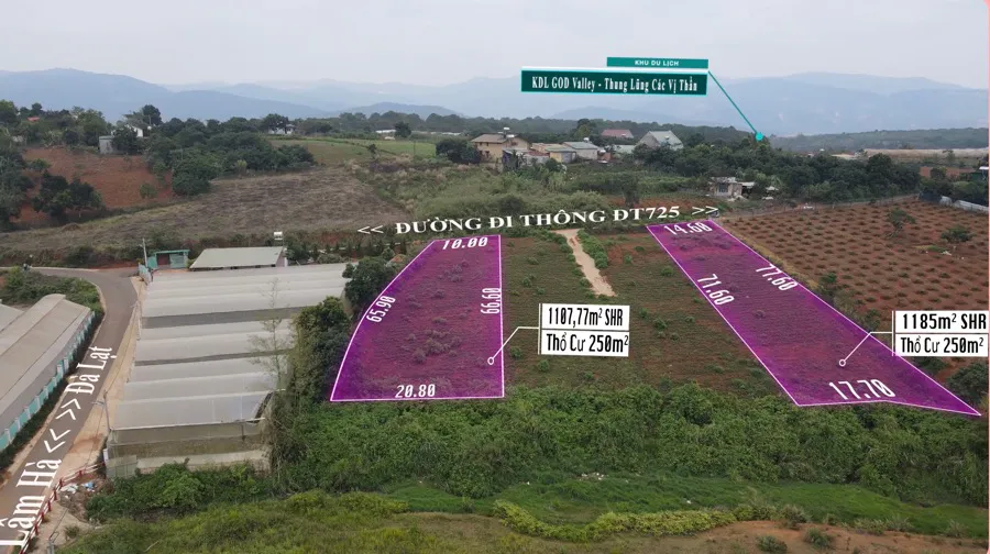 Bán 1.185m² Đất Có 250m² Thổ Cư – Nở Hậu Giáp Suối, Cạnh Khu Du Lịch Các Vị Thần| Tà Nung - Đà Lạt