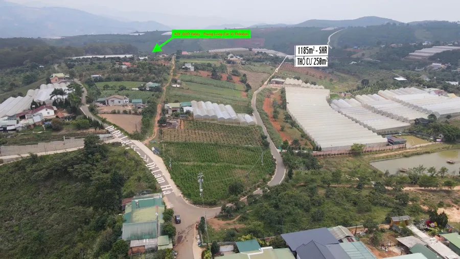 Bán 1.185m² Đất Có 250m² Thổ Cư – Nở Hậu Giáp Suối, Cạnh Khu Du Lịch Các Vị Thần| Tà Nung - Đà Lạt