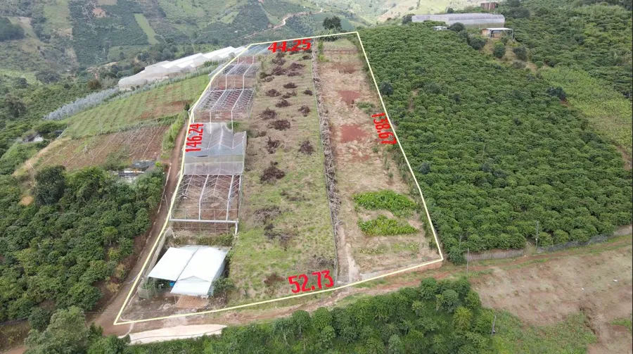 Bán 7.062m² Đất 2 Mặt Tiền| Ngay KDL Hồ Trên Mây - View Toàn Cảnh Trung Tâm| Tà Nung – Đà Lạt