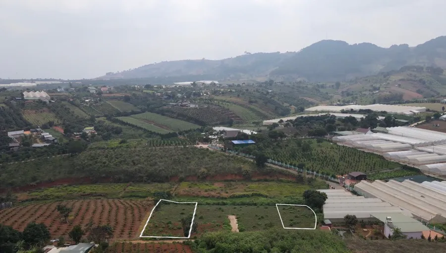 Bán 1.185m² Đất Có 250m² Thổ Cư – Nở Hậu Giáp Suối, Cạnh Khu Du Lịch Các Vị Thần| Tà Nung - Đà Lạt