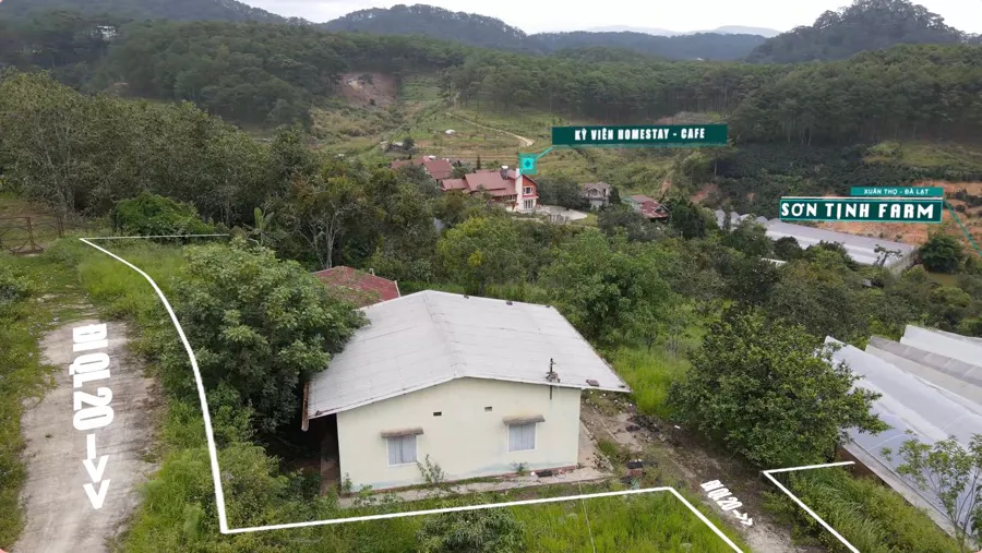 Bán Khu Đất Diện Tích 3.053m²| Có 2 Nhà Cấp 4| View Đồi Thông và Đồi Điện Gió Ngay Xuân Thọ - Đà Lạt