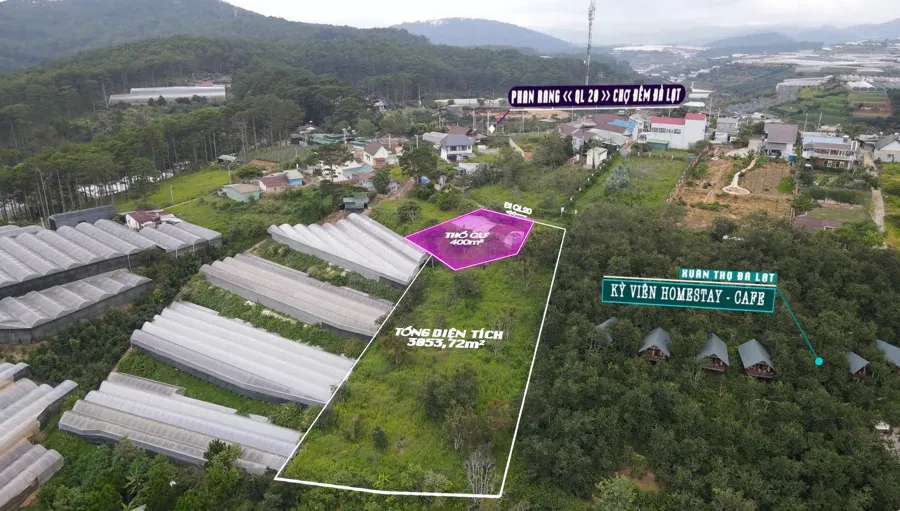 Bán Khu Đất Diện Tích 3.053m²| Có 2 Nhà Cấp 4| View Đồi Thông và Đồi Điện Gió Ngay Xuân Thọ - Đà Lạt