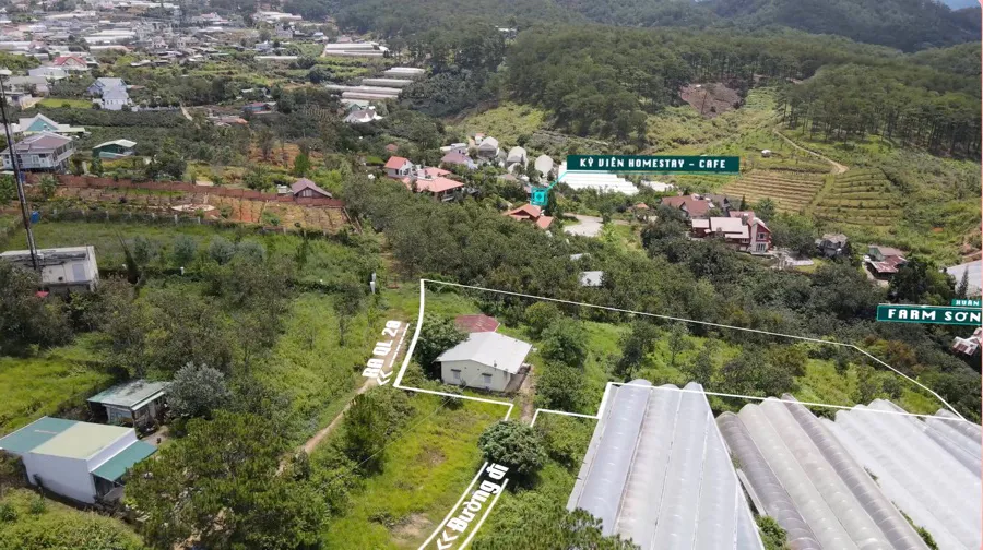 Bán Khu Đất Diện Tích 3.053m²| Có 2 Nhà Cấp 4| View Đồi Thông và Đồi Điện Gió Ngay Xuân Thọ - Đà Lạt