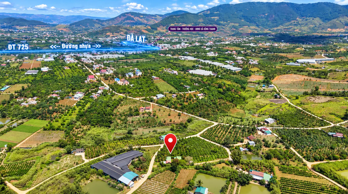 Bán 3.797m² Đất Vườn Có Thổ Cư và Nhà Cấp 4| Sổ Hồng Riêng- Lô Góc Đường Bao Quanh và Giáp Suối Đá| Ngay Đông Thanh - Nam Ban