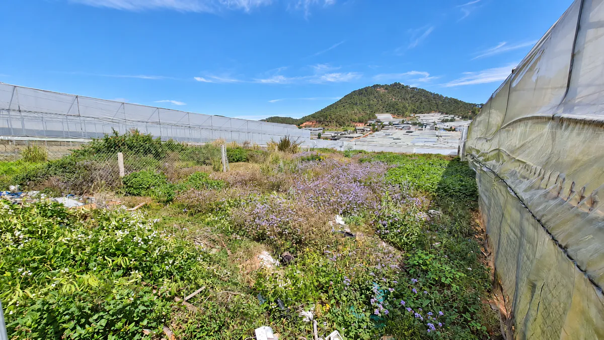Bán Đất Sổ Hồng Rộng 648,23m², Có 250m² Thổ Cư, View Núi - Thung Lũng Đèn, Mặt Tiền Đường Nhựa Trần Cao Vân - Đà Lạt