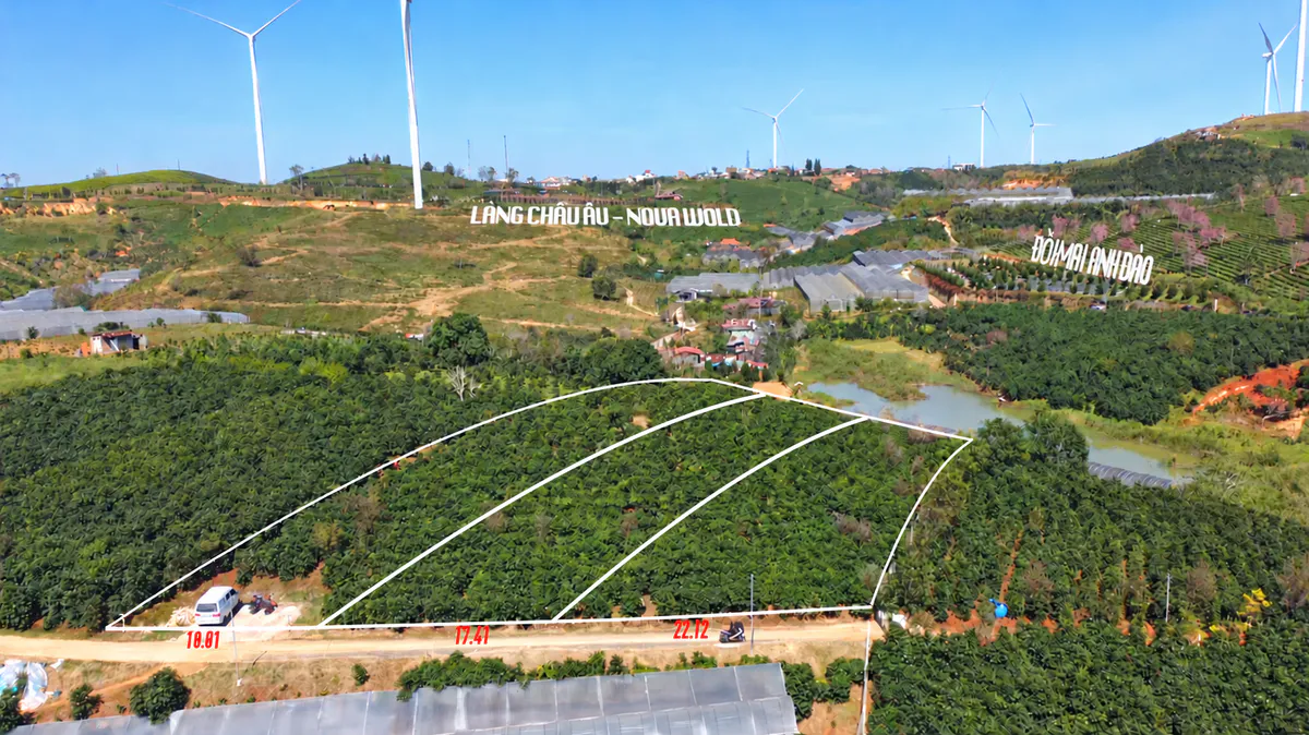 Bán 3 Thửa Đất Sổ Hồng Thổ Cư, Ngay Khu Đồi Mai Anh Đào, View Cực Đẹp, Cầu Đất , Xuân Trường - Đà Lạt