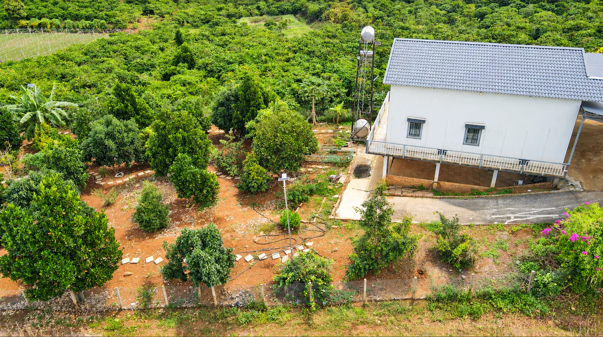 Bán Nhà Diện Tích 1.667m²| 3 Ngủ| Sân Vườn Rộng| Xung Quanh View Cực Đẹp| Gần Sân Bay Quốc Tế Liên Khương – Giá 3,2 Tỷ