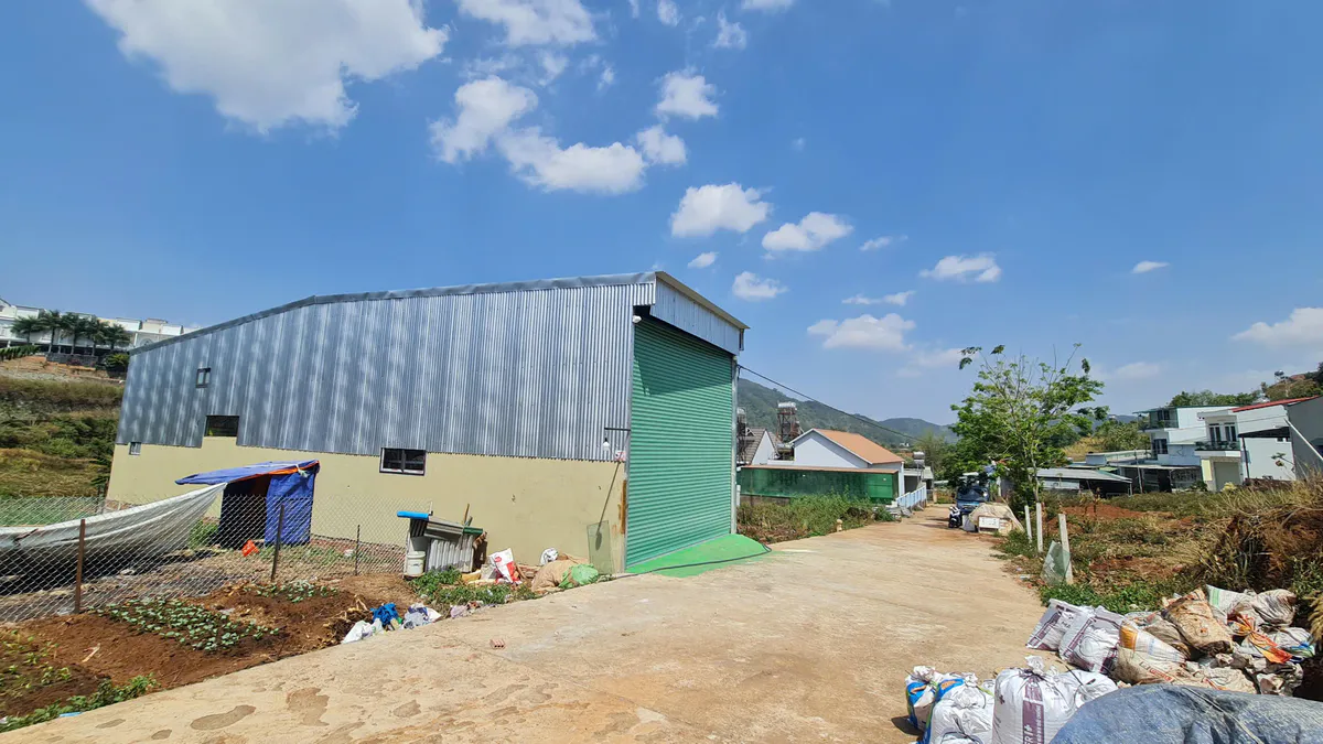 Bán Đất 120m² Thổ Cư| Sổ Hồng Riêng| Nguyễn Tri Phương - Thị Trấn Liên Nghĩa - Đức Trọng| Cách QL20 200m