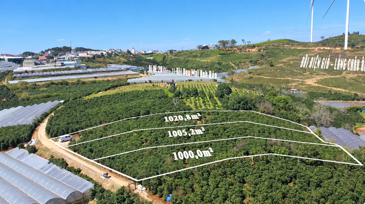 Bán 3 Thửa Đất Sổ Hồng Thổ Cư, Ngay Khu Đồi Mai Anh Đào, View Cực Đẹp, Cầu Đất , Xuân Trường - Đà Lạt